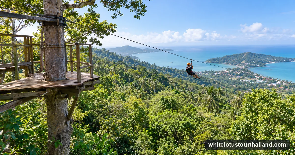 Illustration of a rider on a zipline over the rainforest canopy on a Koh Samui hillside, with the sea in the distance